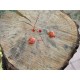 Boucles d'oreilles Veron rouge